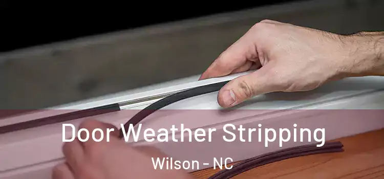 Door Weather Stripping Wilson - NC