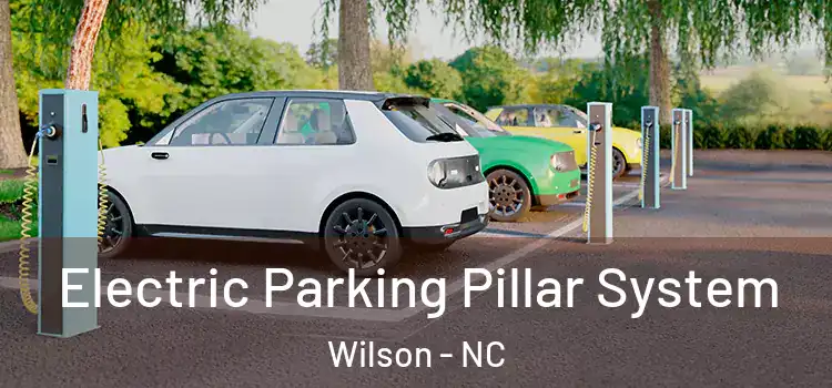 Electric Parking Pillar System Wilson - NC